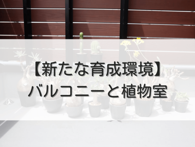 新・グラキリス育成環境について | グラキリス育成手帳