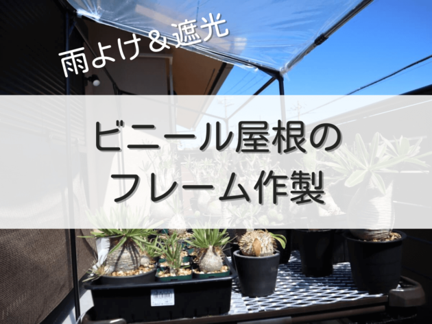 イレクターでビニール屋根フレーム作製【グラキリスの雨よけと遮光